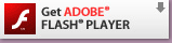 Get ADOBE FLASH PLAYER