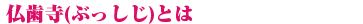 佛歯について